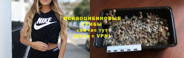 дмт Карпинск