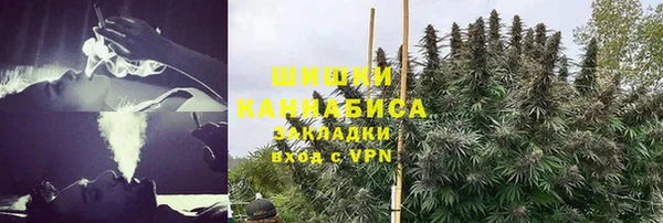 дмт Карпинск