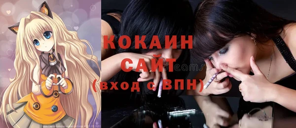 дмт Карпинск